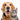 Pets